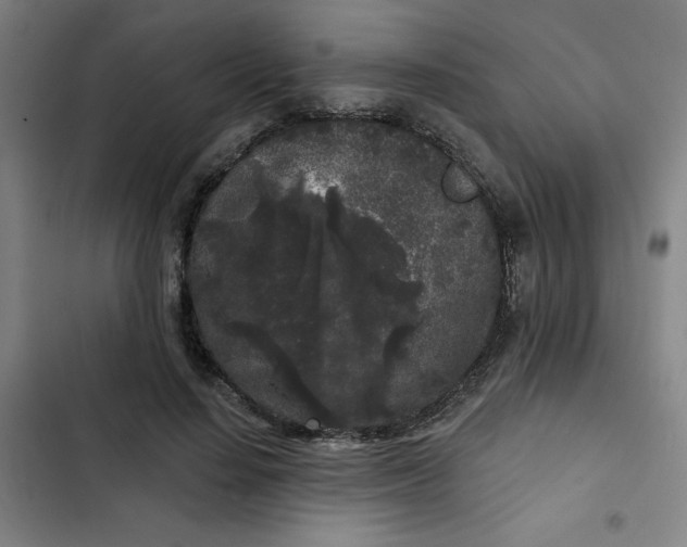 X0000102460644200808221620