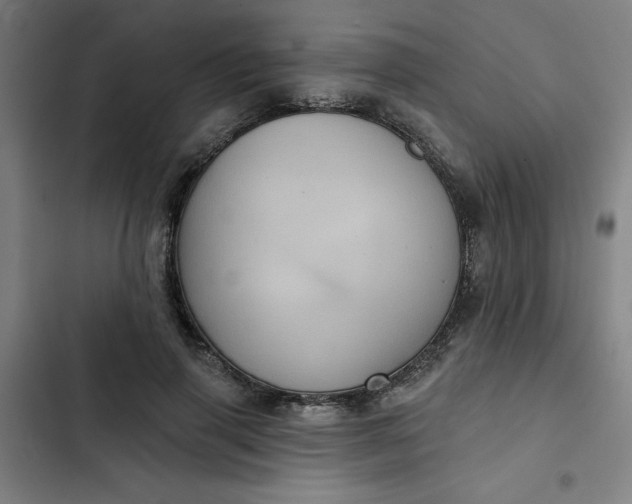 X0000102460645200808221620