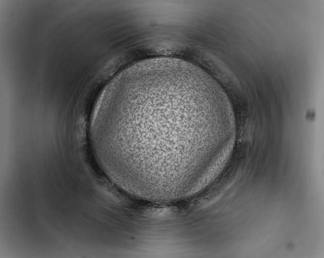 X0000102460646200808221620