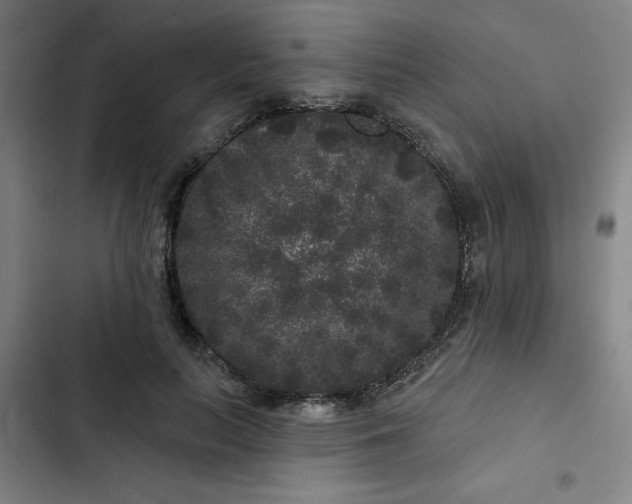 X0000102460647200808221620