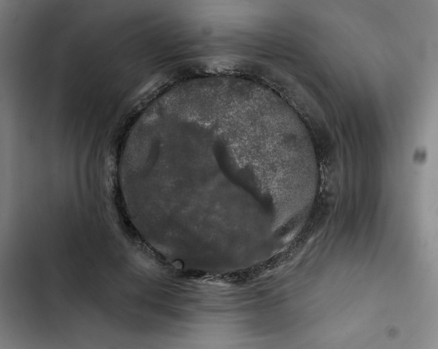 X0000102460648200808221620