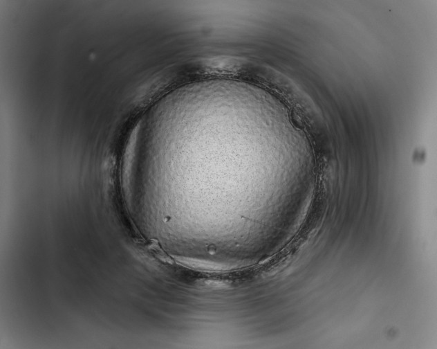 X0000102460649200808221620