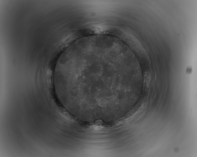 X0000102460650200808221620