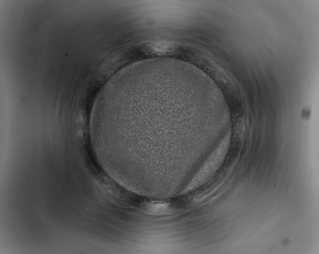 X0000102460651200808221620