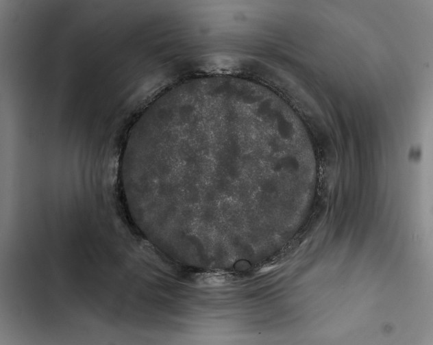 X0000102460652200808221620