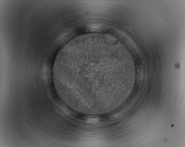 X0000102460653200808221620