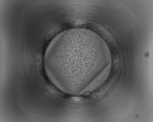 X0000102460654200808221620