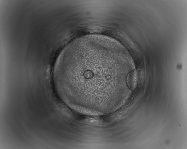 X0000102460655200808221620