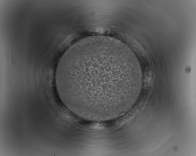 X0000102460656200808221620