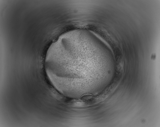 X0000102460658200808221620