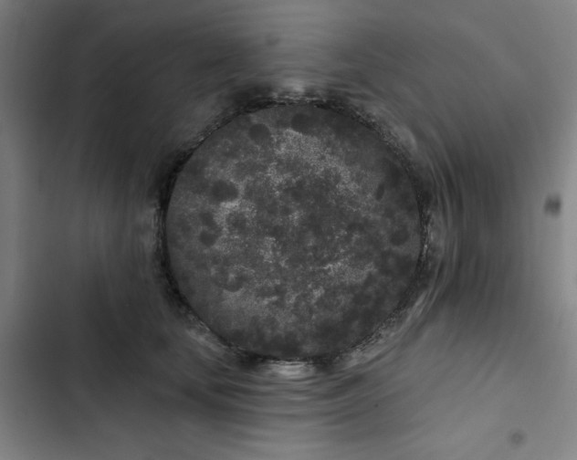 X0000102460659200808221620