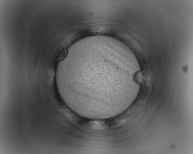 X0000102460660200808221620