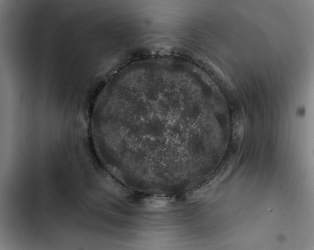 X0000102460661200808221620