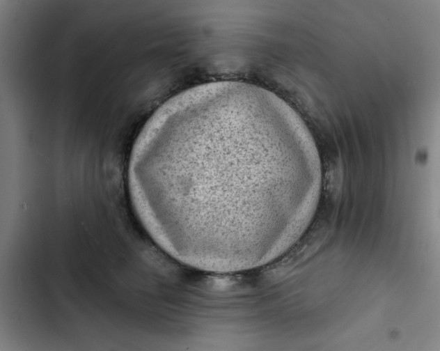 X0000102460662200808221620