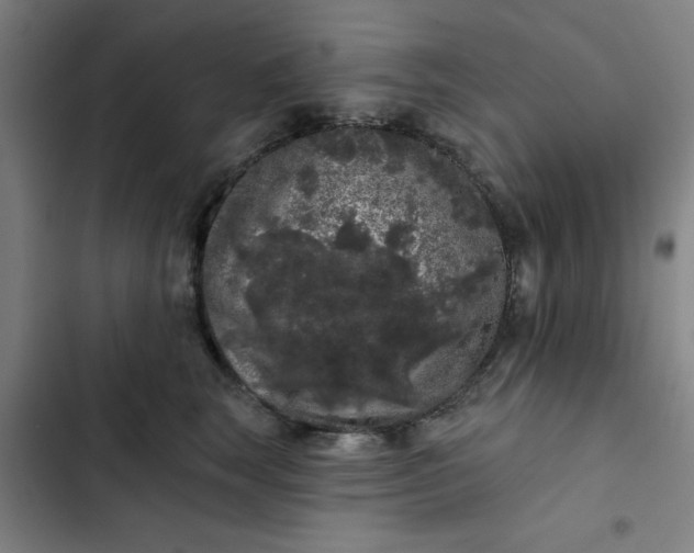 X0000102460663200808221620