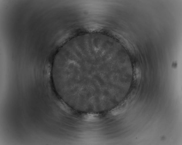 X0000102460664200808221620