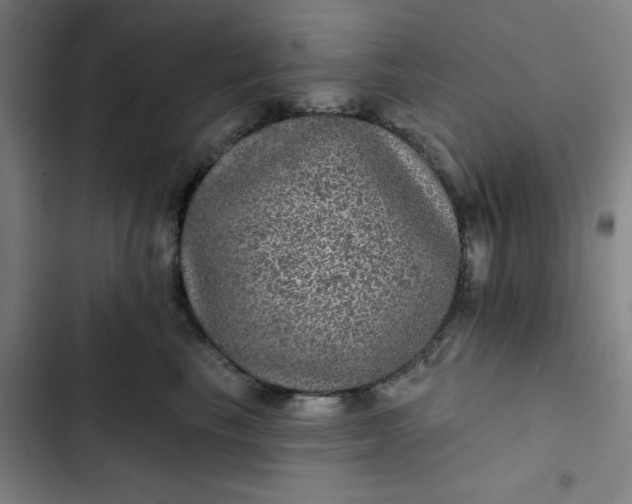 X0000102460665200808221620