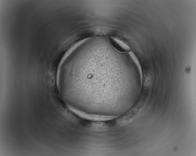 X0000102460666200808221620