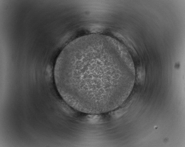 X0000102460667200808221620