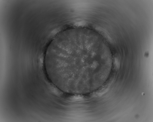 X0000102460668200808221620