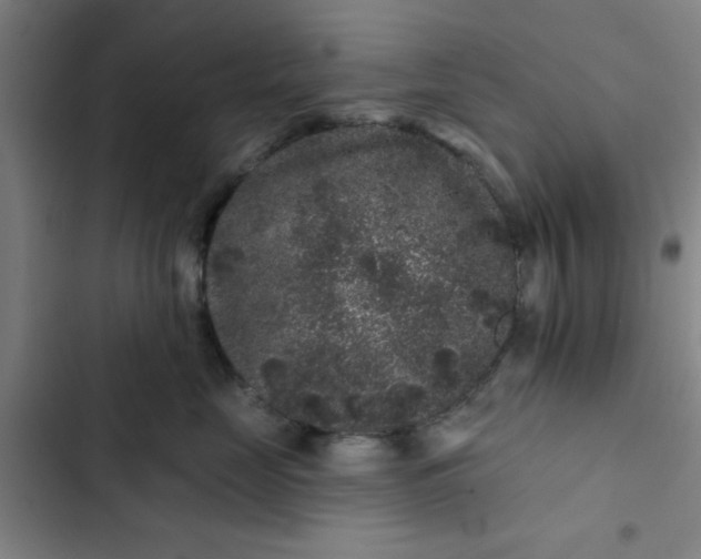 X0000102460669200808221620