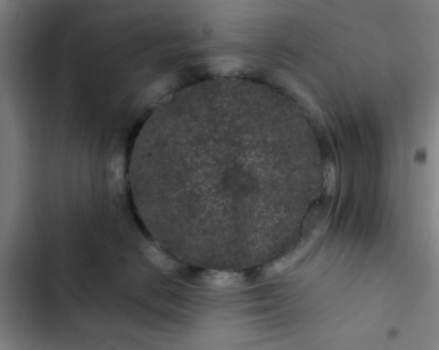 X0000102460670200808221620