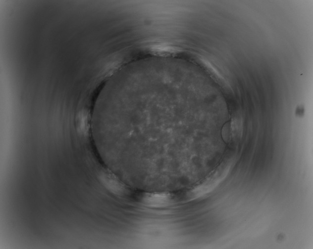 X0000102460671200808221620