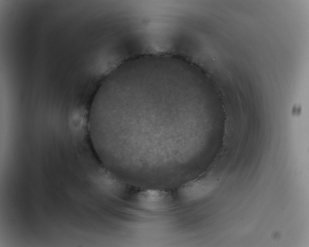 X0000102460672200808221620