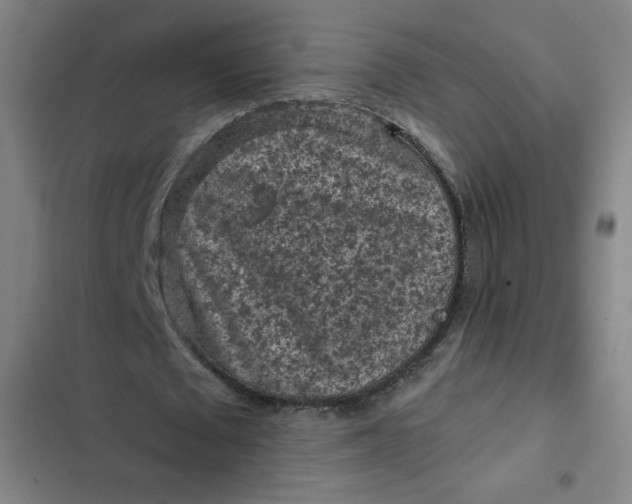 X0000102460673200808221620