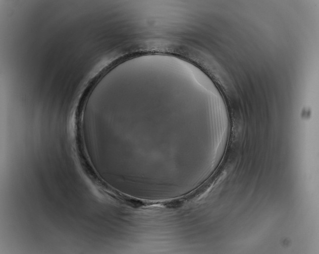 X0000102460674200808221620