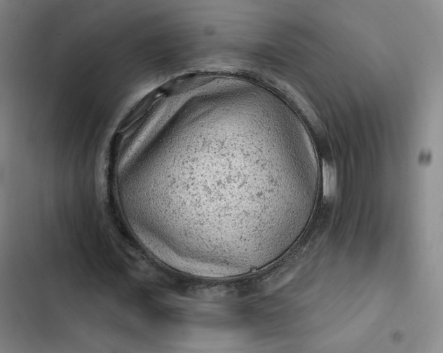 X0000102460675200808221620