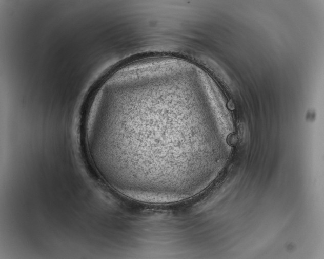 X0000102460676200808221620