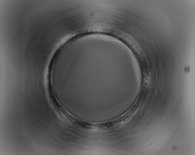 X0000102460678200808221619