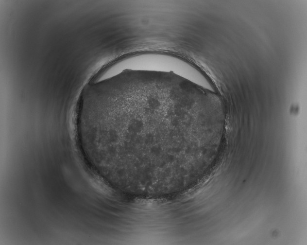 X0000102460679200808221619