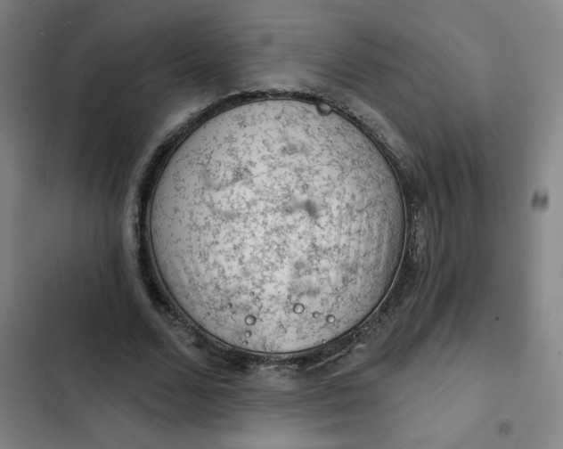 X0000102460680200808221619