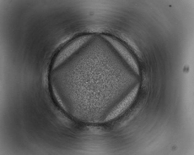 X0000102460681200808221619