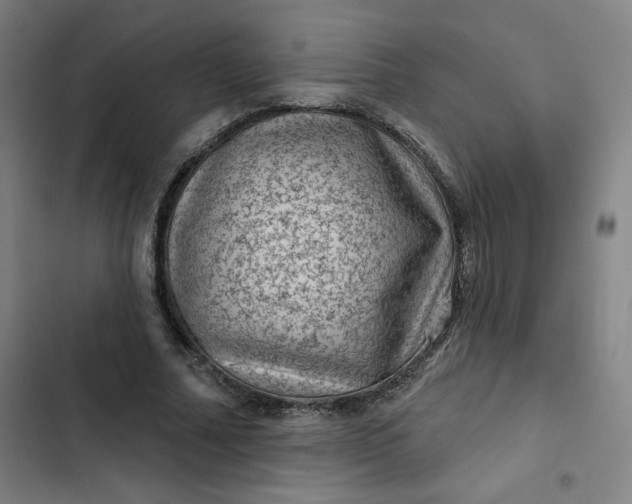 X0000102460682200808221619