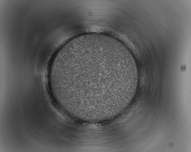 X0000102460683200808221619