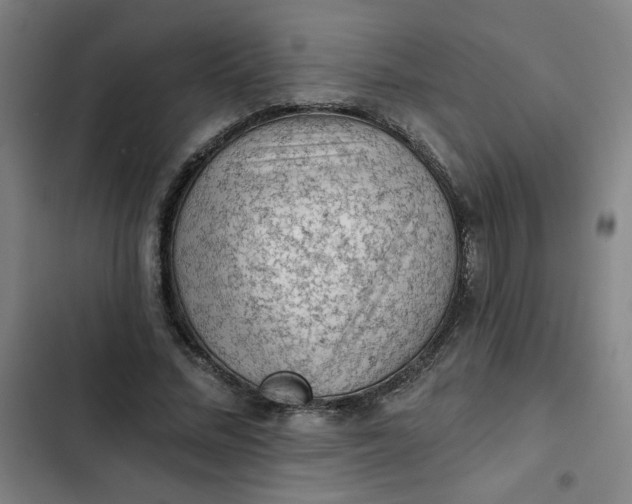 X0000102460684200808221619