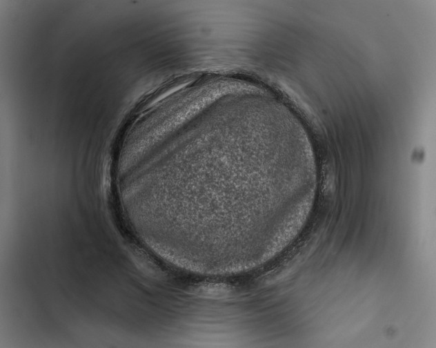 X0000102460685200808221619