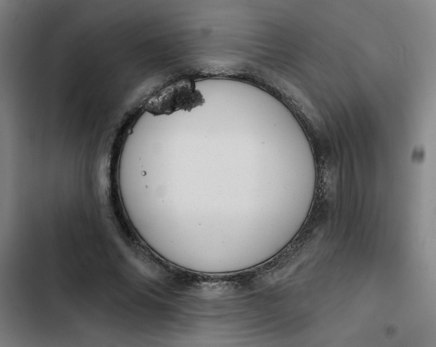 X0000102460686200808221619