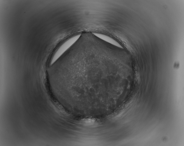 X0000102460687200808221619