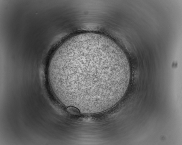 X0000102460688200808221619