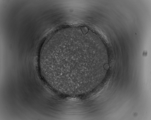 X0000102460689200808221619