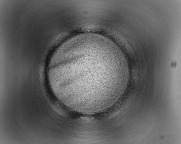 X0000102460690200808221619