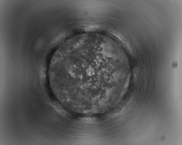 X0000102460691200808221619