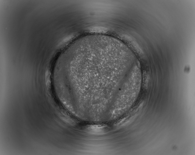 X0000102460692200808221619