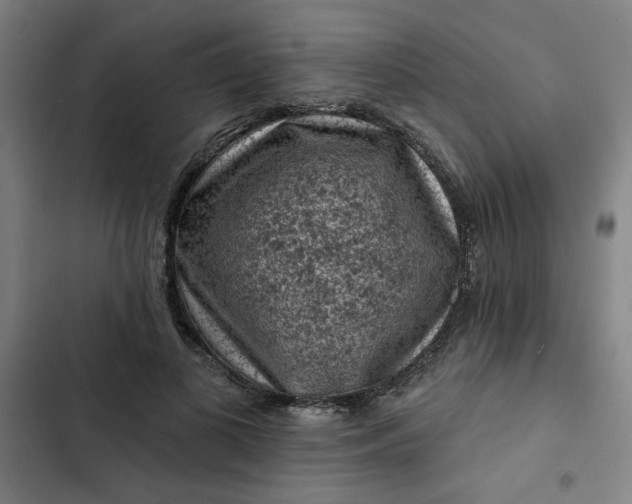 X0000102460693200808221619