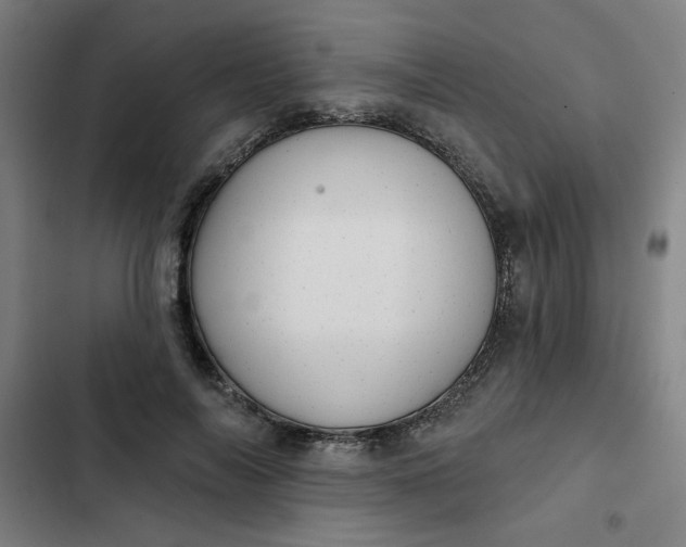 X0000102460694200808221619