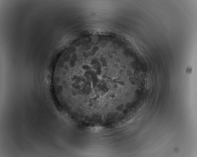 X0000102460695200808221619